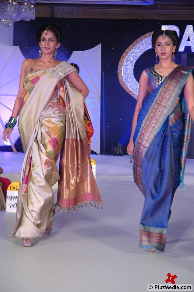 Palam Silk Fashion Show 2011 Pictures | Picture 74219